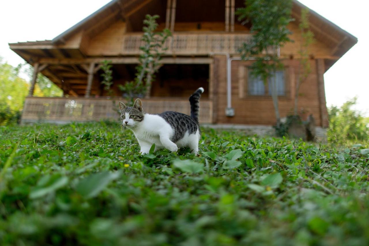 La Sat Villa Bertea Exteriör bild