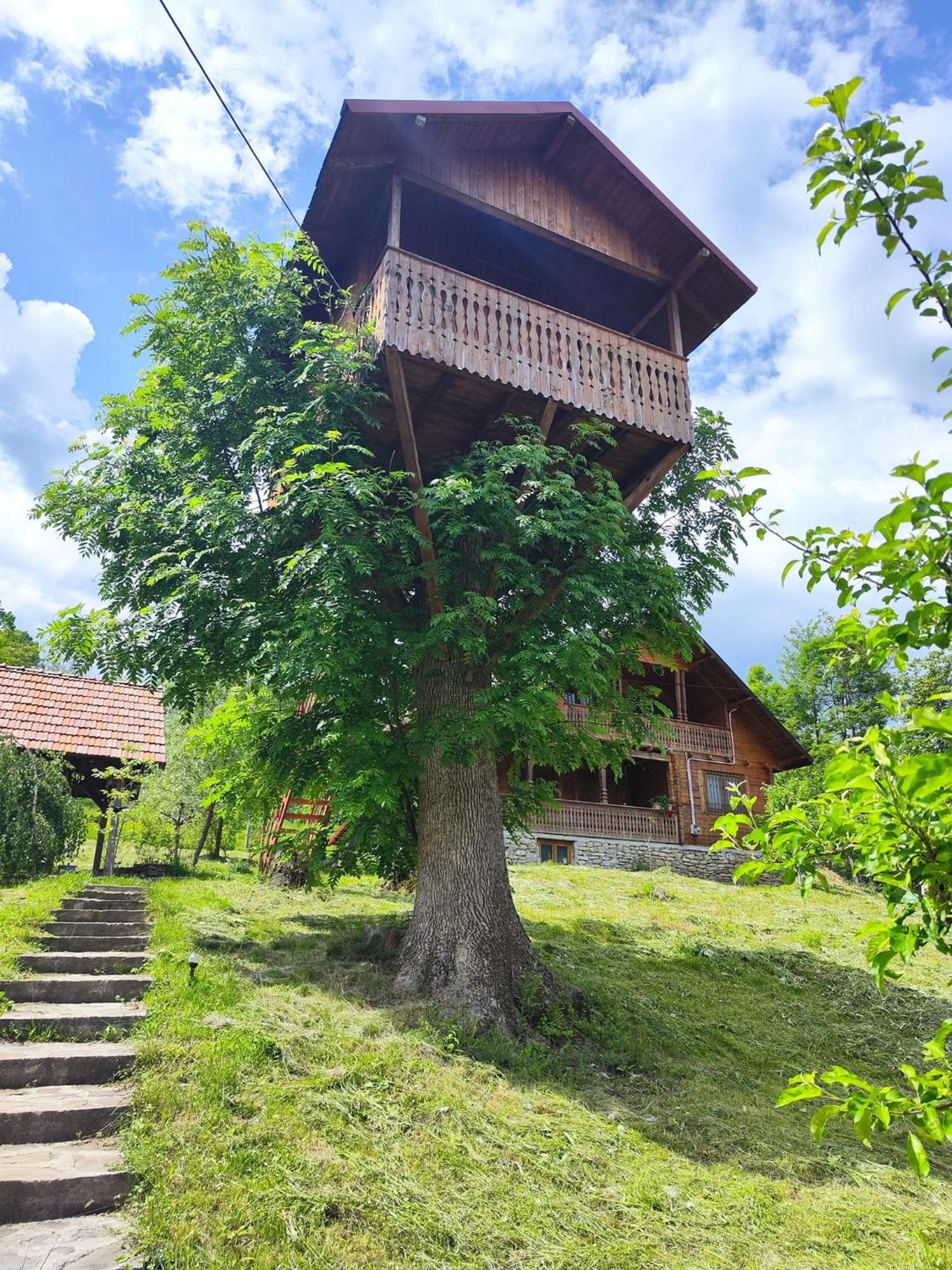 La Sat Villa Bertea Exteriör bild